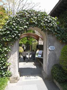 20100502-21.jpg 20100502-21.jpg