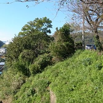 20111113.jpg 20111113.jpg