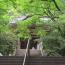 大宝寺本堂.jpg 大宝寺本堂.jpg