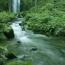 20080619140920_1.jpg 20080619140920_1.jpg