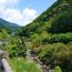 きらく市風景.jpg きらく市風景.jpg