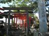 「プラ鳥居があった」〔鳥居のはなし(4)〕 「プラ鳥居があった」〔鳥居のはなし(4)〕