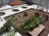 現在、植樹作業中・・・。 現在、植樹作業中・・・。