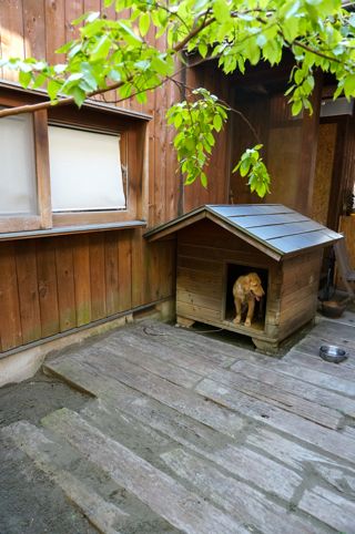 20130901-ｸﾚｱ小屋.jpg